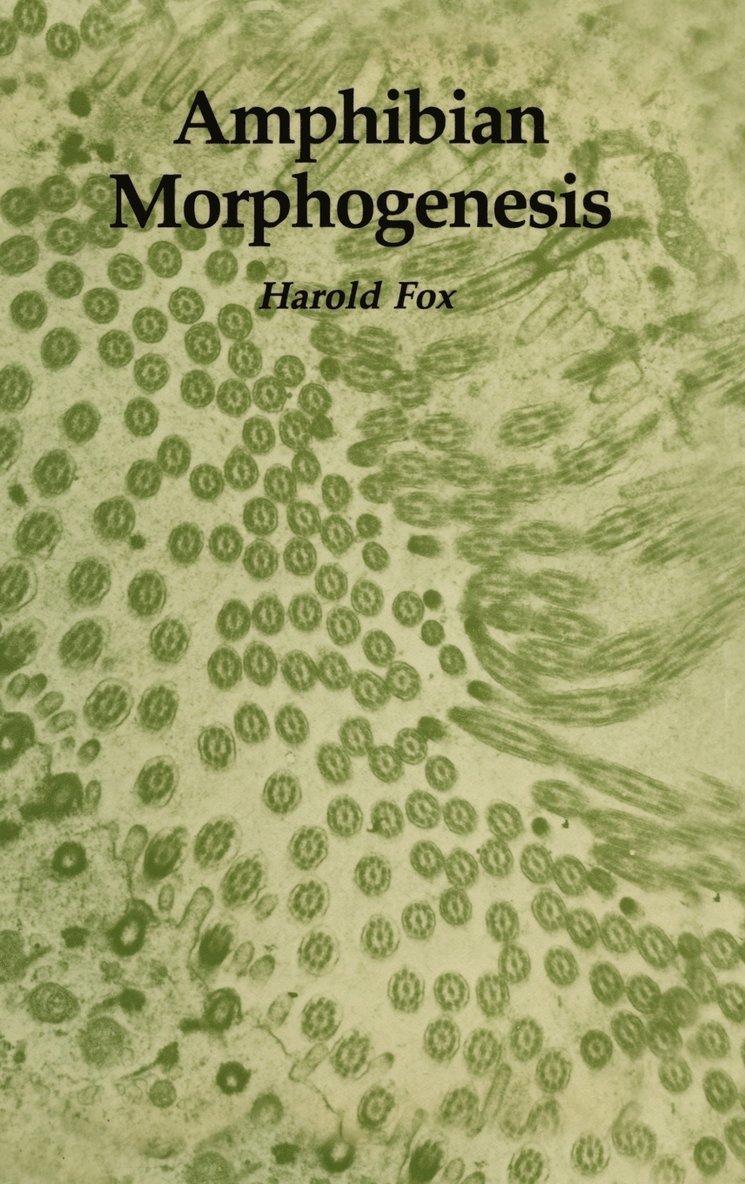 Harold Fox - Amphibian Morphogenesis, Inbunden