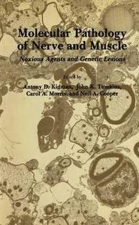 bokomslag Molecular Pathology of Nerve and Muscle