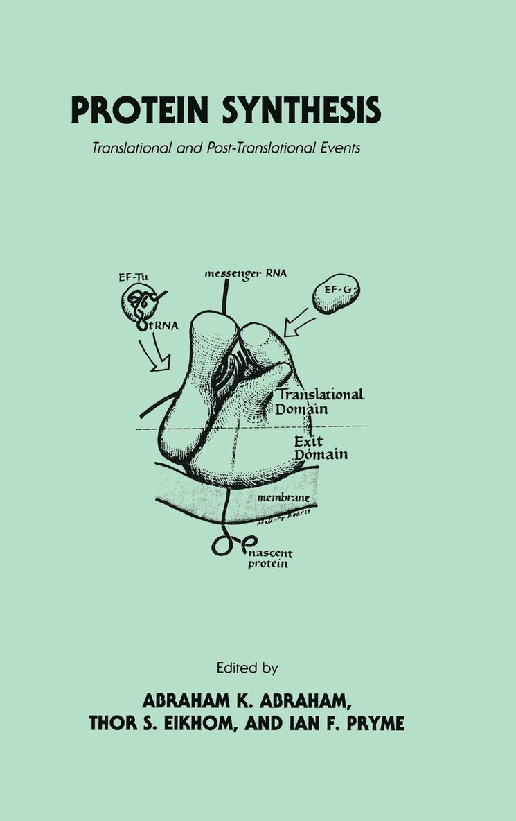 Protein Synthesis 1