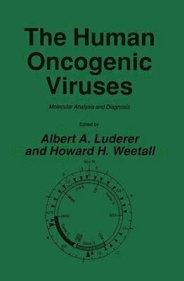 bokomslag The Human Oncogenic Viruses