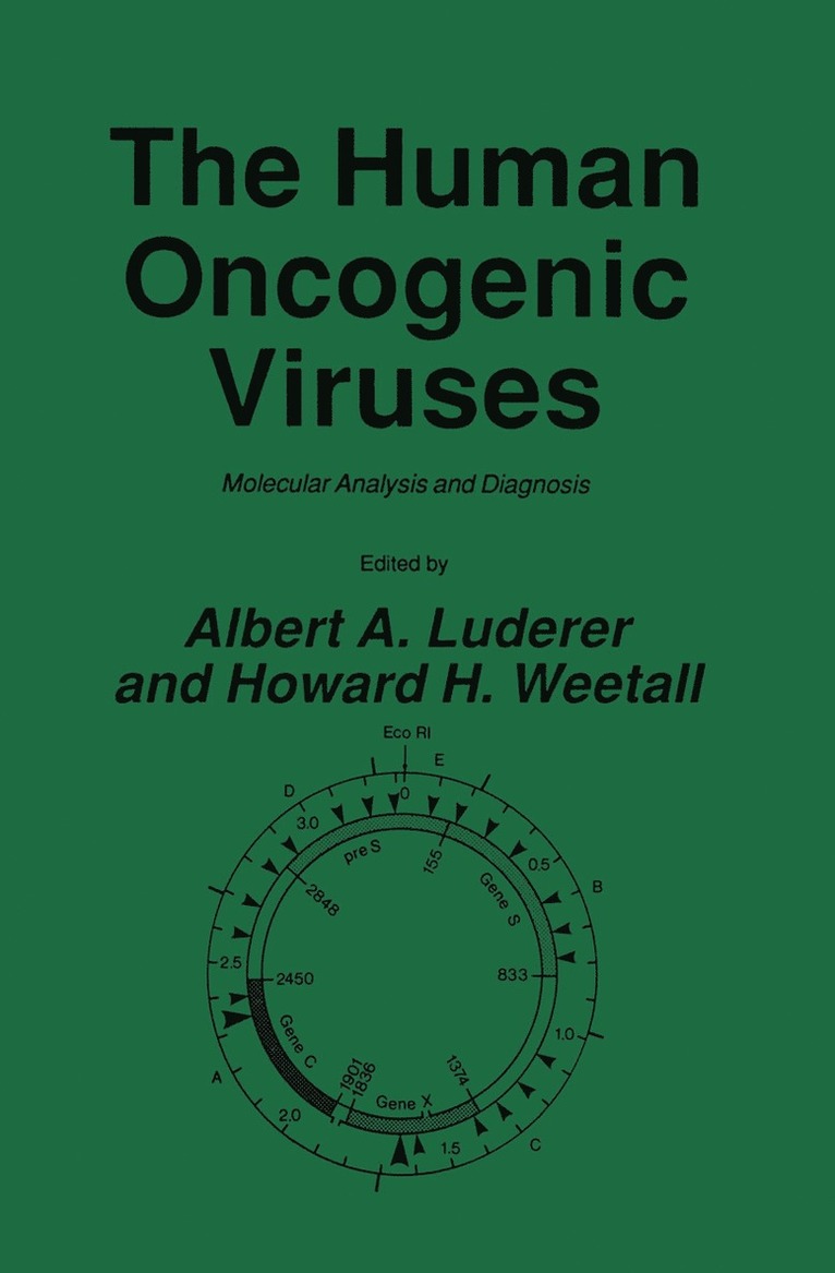 Albert A. Luderer, Howard H. Weetall, Albert A Luderer, Howard H Weetall - Human Oncogenic Viruses, Inbunden