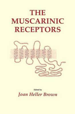 Muscarinic Receptors