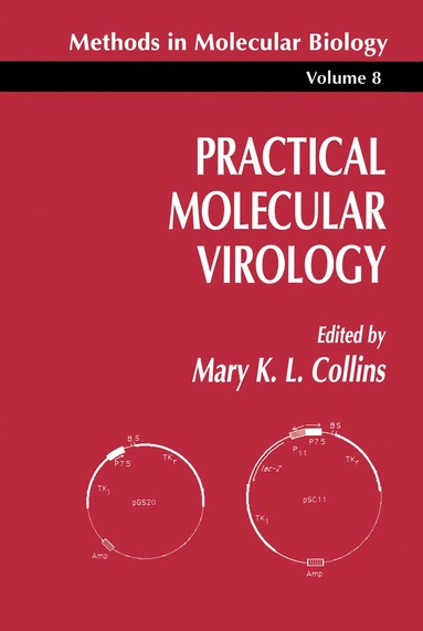 Mary K. Collins - Practical Molecular Virology, Inbunden