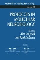 bokomslag Protocols in Molecular Neurobiology