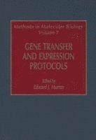 bokomslag Gene Transfer and Expression Protocols