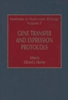 bokomslag Gene Transfer and Expression Protocols