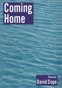 bokomslag Coming Home