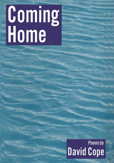 bokomslag Coming Home