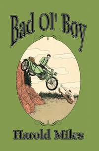 bokomslag Bad Ol' Boy