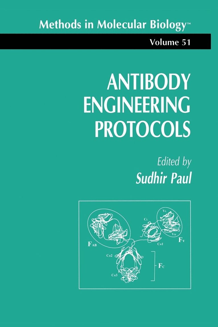 Antibody Engineering Protocols 1