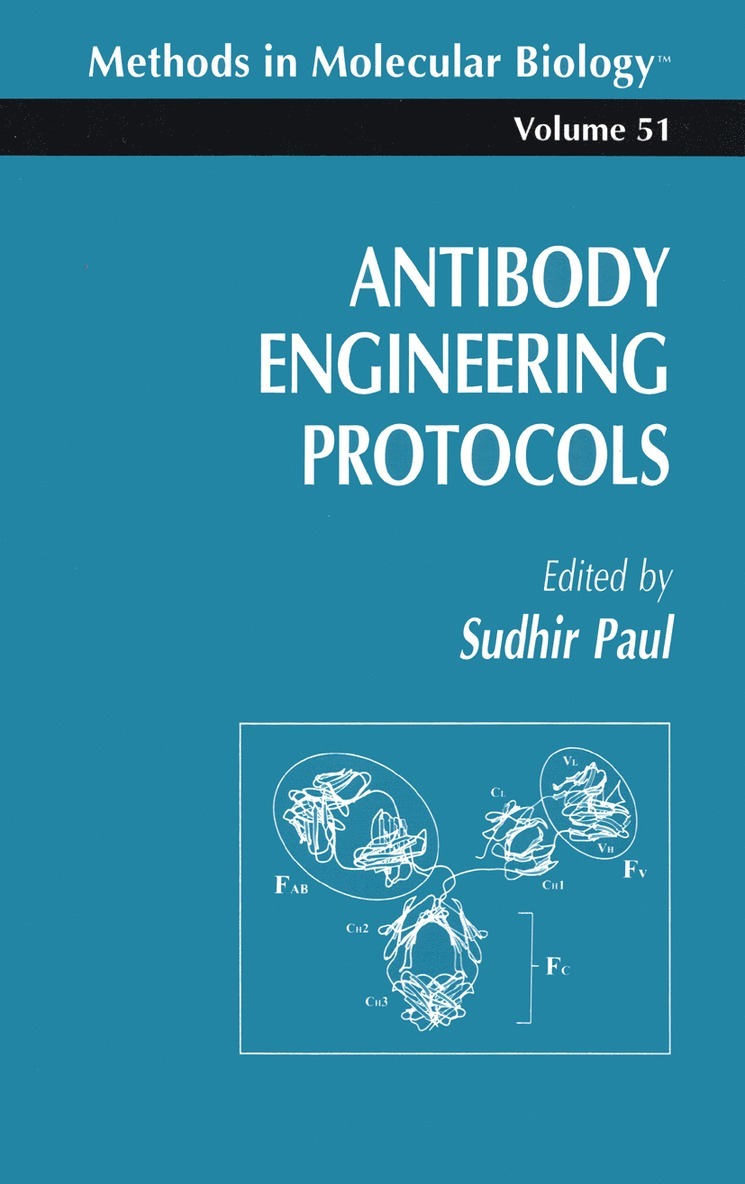 Sudhir Paul - Antibody Engineering Protocols, Häftad