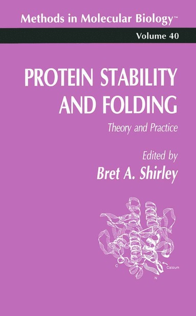 bokomslag Protein Stability and Folding