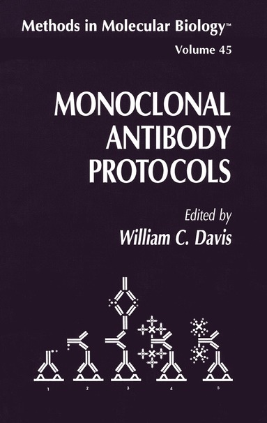 bokomslag Monoclonal Antibody Protocols