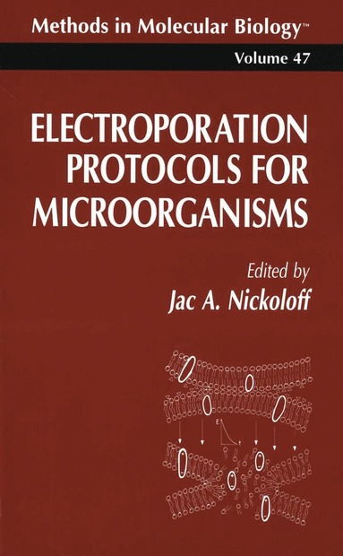 bokomslag Electroporation Protocols for Microorganisms