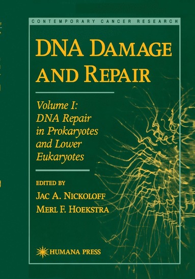 bokomslag DNA Damage and Repair