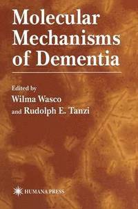bokomslag Molecular Mechanisms of Dementia