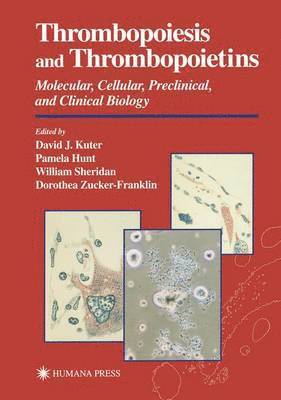 Thrombopoiesis and Thrombopoietins 1