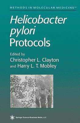 Helicobacter pylori Protocols 1