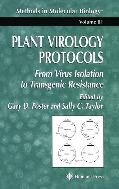 bokomslag Plant Virology Protocols