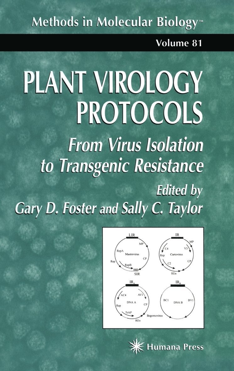 Plant Virology Protocols 1