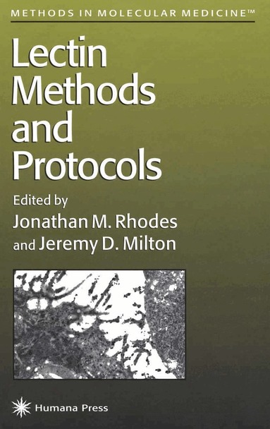 Jonathan M. Rhodes, Jeremy D. Milton - Lectin Methods and Protocols, Inbunden