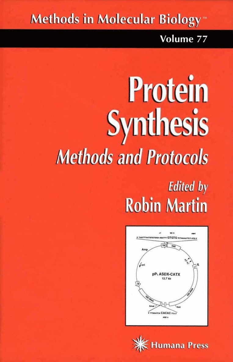 Protein Synthesis 1