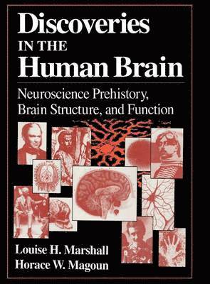 bokomslag Discoveries in the Human Brain