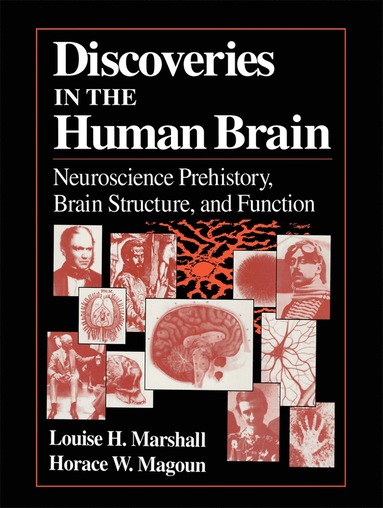 bokomslag Discoveries in the Human Brain