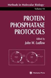 bokomslag Protein Phosphatase Protocols