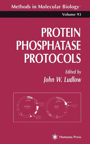 bokomslag Protein Phosphatase Protocols