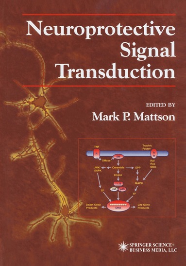 Mark P. Mattson - Neuroprotective Signal Transduction, Inbunden