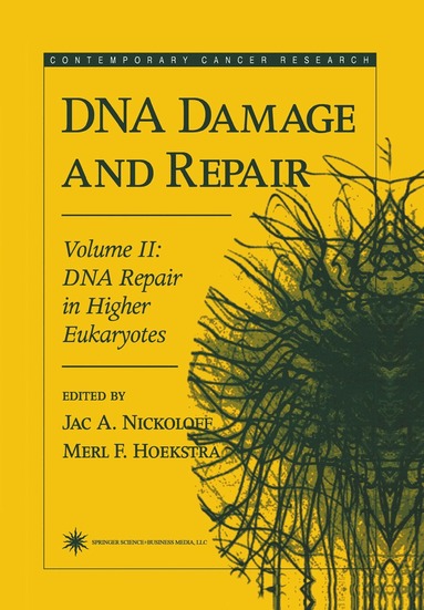 bokomslag DNA Damage and Repair