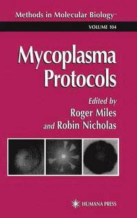 bokomslag Mycoplasma Protocols