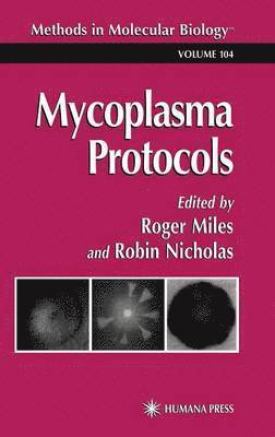 Mycoplasma Protocols 1