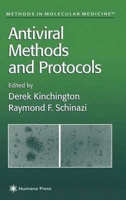 bokomslag Antiviral Methods and Protocols