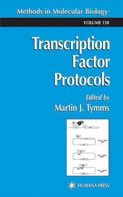 bokomslag Transcription Factor Protocols