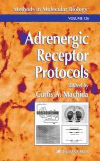 bokomslag Adrenergic Receptor Protocols