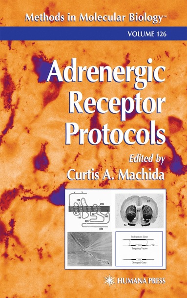 bokomslag Adrenergic Receptor Protocols