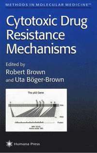 bokomslag Cytotoxic Drug Resistance Mechanisms