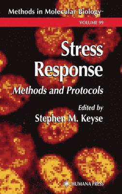 Stress Response 1