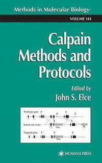 bokomslag Calpain Methods and Protocols