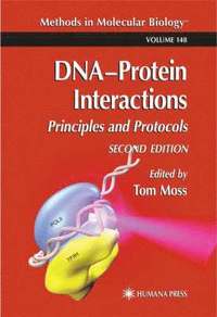 bokomslag Dna'protein Interactions: Principles and Protocols