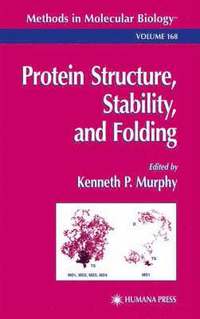 bokomslag Protein Structure, Stability, and Folding