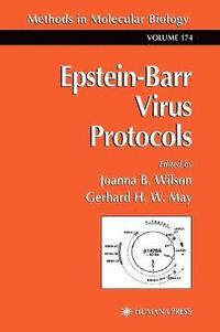 bokomslag Epstein-Barr Virus Protocols