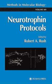 bokomslag Neurotrophin Protocols