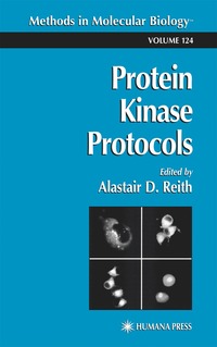 bokomslag Protein Kinase Protocols