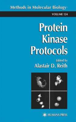 Protein Kinase Protocols 1