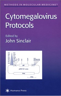 bokomslag Cytomegalovirus Protocols