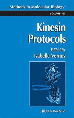 Kinesin Protocols 1