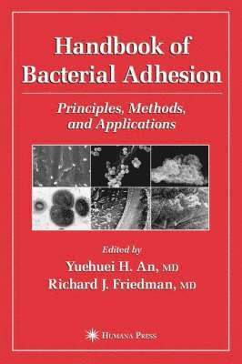 Handbook of Bacterial Adhesion 1